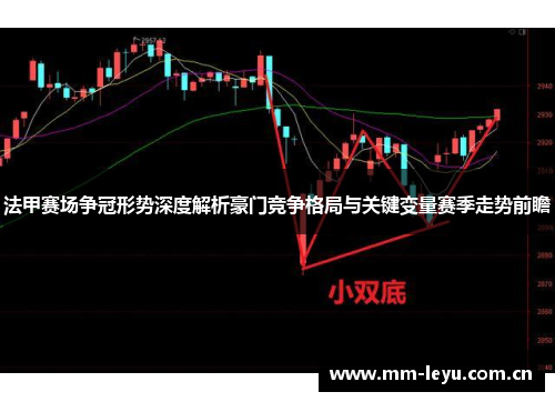 法甲赛场争冠形势深度解析豪门竞争格局与关键变量赛季走势前瞻